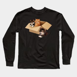 Cute Cats inside Box, Love cats Kittens Long Sleeve T-Shirt